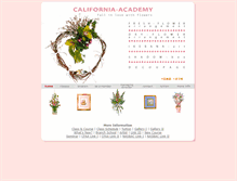 Tablet Screenshot of california-academy.com